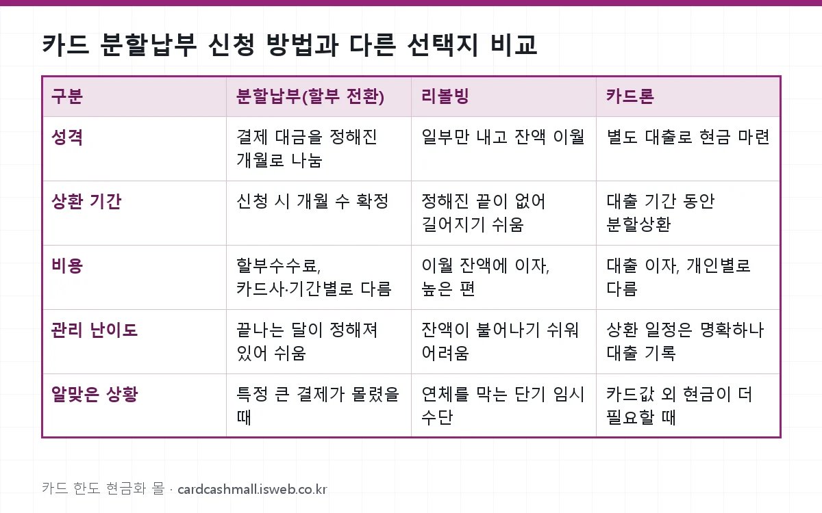 카드 분할납부 신청 방법과 다른 선택지 비교 표를 그림으로 정리한 이미지
